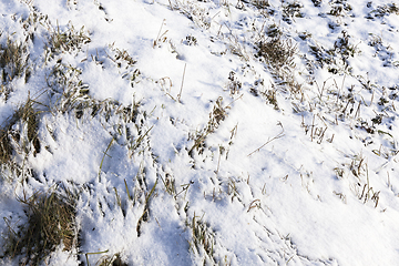 Image showing snow covered grass