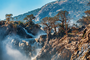 Image showing Epupa Falls on the Kunene River in Namibia