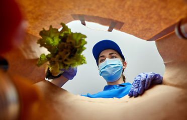 Image showing delivery girl in gloves and mask with food in bag