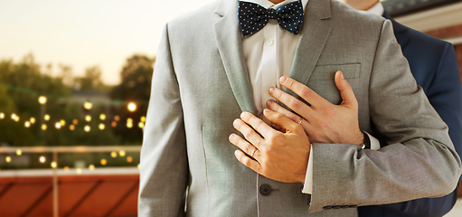 Image showing close up of male gay couple with wedding rings on