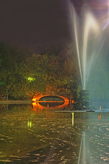 Image showing Night in a park