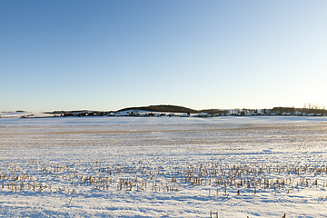 Image showing landscape in winter