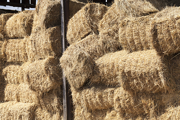 Image showing square stacks of straw