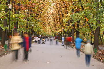 Image showing Autumn walk