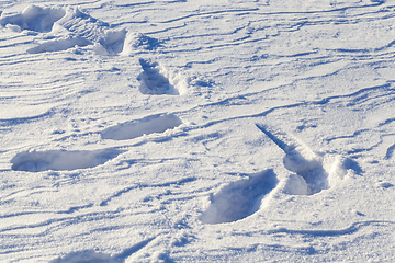 Image showing deep snow drifts