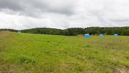 Image showing stacked straw