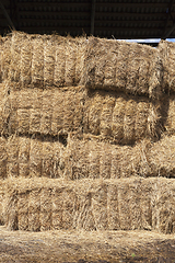 Image showing Straw stacks