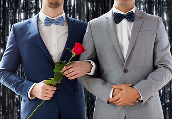 Image showing close up of male gay couple with wedding rings on