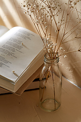 Image showing books and decorative dried flowers in glass bottle