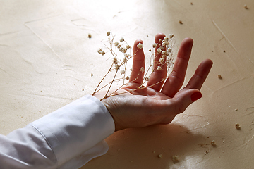 Image showing hand with dried baby's breath flowers in cuff