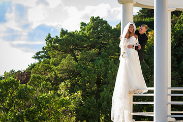 Image showing Happy newlyweds stand on the metal fence of the gazebo and look into the distance