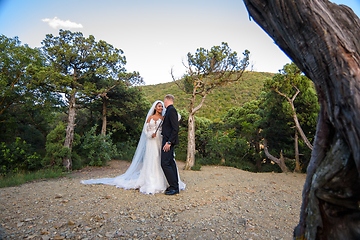 Image showing Beautiful interracial wedding couple walking in the old forest