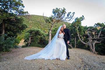 Image showing Beautiful interracial wedding couple hugging and looking into the frame on the background of the old forest and mountains