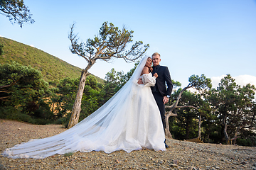 Image showing The bride in a long white dress and the groom in a suit stand against the backdrop of an old forest and mountains.