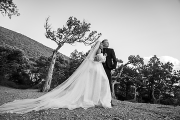 Image showing The bride in a long white dress and the groom in a suit are standing against the backdrop of an old forest and mountains, black and white version