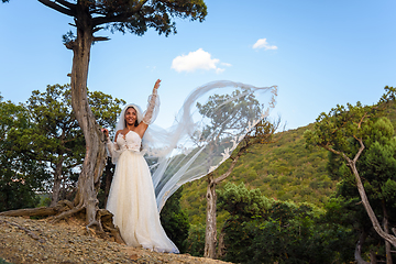 Image showing A black bride in a white dress with a flowing veil against the backdrop of an old forest and mountains