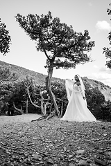 Image showing A black bride in a white dress with a flowing veil walks through the old forest, black and white version