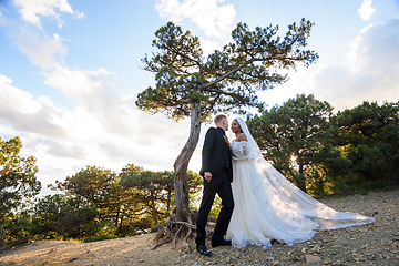 Image showing Interracial newlyweds hugging near an old tree in a sunny forest