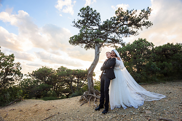 Image showing Interracial newlyweds hugging against the backdrop of a beautiful forest landscape in the center of which is an old original tree