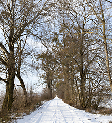 Image showing Road under the snow