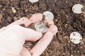 Image showing American coins