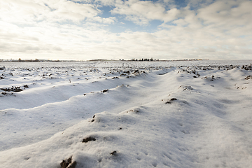 Image showing plowed field under snow