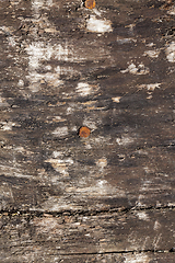 Image showing old wooden surface