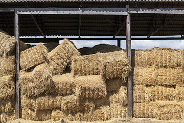 Image showing pressed square bales