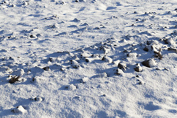 Image showing Snow drifts in winter ,
