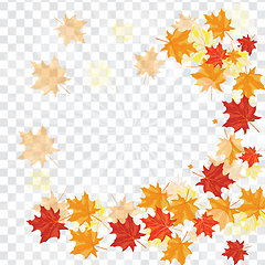 Image showing Maple leaves on transparency grid