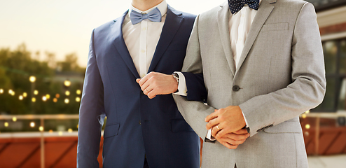 Image showing close up of happy male gay couple at party