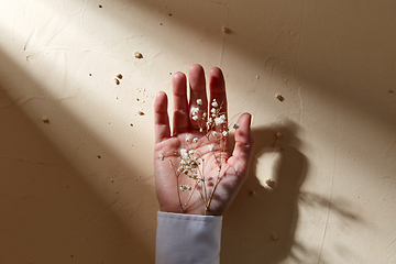 Image showing hand with dried baby's breath flowers in cuff