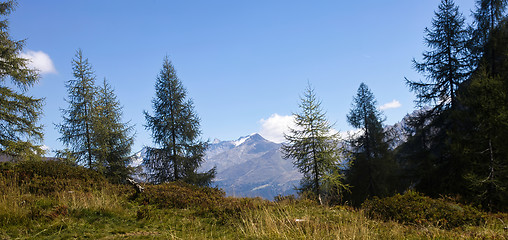 Image showing South Tyrolean Alps in autumn