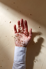 Image showing hand with dried baby's breath flowers in cuff