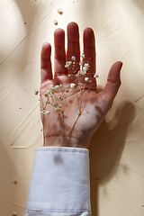 Image showing hand with dried baby's breath flowers in cuff