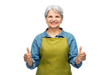 Image showing senior woman in garden apron showing thumbs up