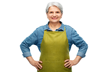 Image showing portrait of smiling senior woman in garden apron