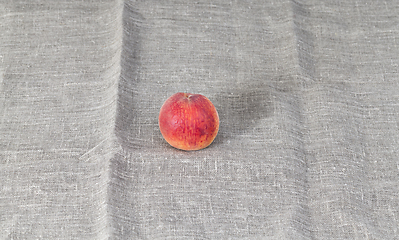 Image showing one ripe large peach