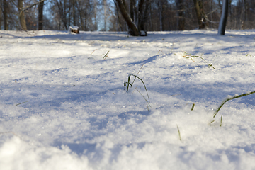 Image showing Snow drifts in winter