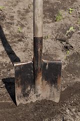 Image showing old metal rusty shovel,