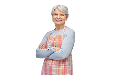 Image showing portrait of smiling senior woman in apron