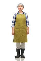 Image showing portrait of smiling senior woman in garden apron