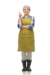 Image showing happy old woman in garden apron pointing finger up