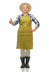 Image showing senior woman in garden apron showing thumbs up