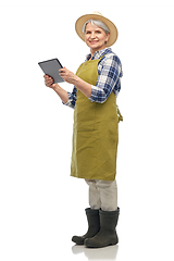 Image showing happy senior woman in garden apron with tablet pc