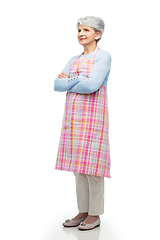 Image showing portrait of smiling senior woman in apron