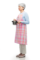 Image showing senior woman in apron with pot cooking food