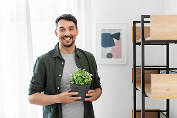 Image showing man decorating home with flower or houseplant