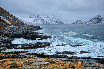 Image showing Norwegian Sea waves on rocky coast of Lofoten islands, Norway