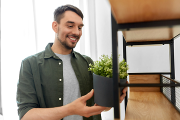 Image showing man decorating home with flower or houseplant